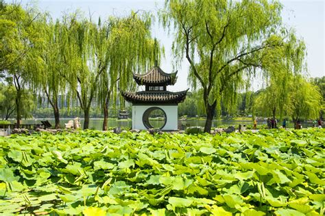 北京哪些好玩公園及探索建议